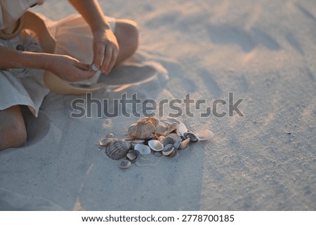 Child hands child hands sort through small sea shell sea shell on sand. Little kid plays with ocean shell shell treasures at beach during sunset. Happy childhood summer vacation moments.