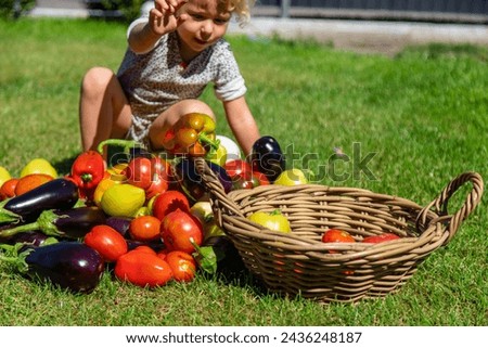 Similar – Portrait of happy kid putting apples in wicker basket