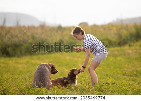 Similar – Image, Stock Photo Blond woman walking her dogs at sunset