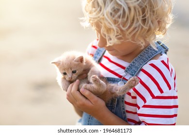 Child Holding Baby Cat. Kids And Pets. Little Girl Hugging Cute Little Kitten In Summer Garden. Domestic Animal In Family With Kids. Children With Home Pet Animals. 