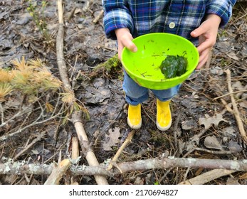 A Child Holding A Bowl Full Of Green Sludge.