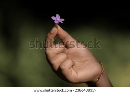 Similar – Blümchen zwischen Fingern geklemmt