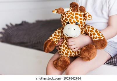 teddy bear giraffe