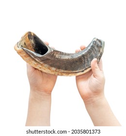 Child Holding Musical Horn Shofar For Jewish Holiday Rosh Hashanah On White Background.