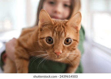 Child holding orange kitten. Girl in background with orange tabby cat in her arms. - Powered by Shutterstock