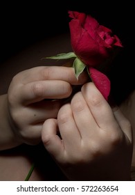 Child Holding Red  Rose Flower In Hand On Black Background