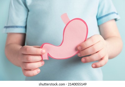 Child Holding Stomach Decorative Model. Healthy Digestion Children Concept, Treatment And Pain Relief. Closeup