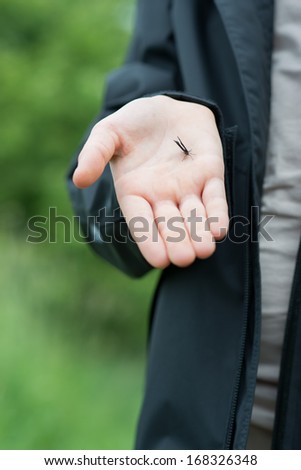 Similar – My daughter is holding a tiny little crab on her hand. There were thousands of them in the mudflats.