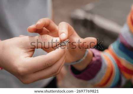 Child Holding a Tiny Lizard in Hands