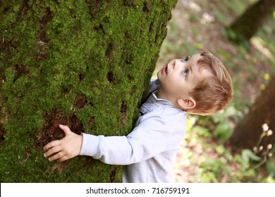 36,959 Children tree hug Images, Stock Photos & Vectors | Shutterstock