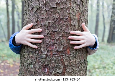 Child Ist Hugging A Tree