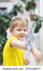Child kid boy in bright yellow T-shirt laughs and rejoices sitting on his hand gray huge big domestic cockatoo parrot.