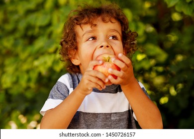 Child Kid Eating Apple Fruit Outdoor Autumn Fall Nature Healthy Outdoors