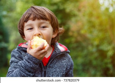 Child kid eating apple fruit outdoor autumn fall nature healthy outdoors
