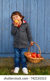 Child Kid Eating Apple Fruit Full Body Autumn Fall Healthy Outdoors