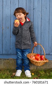 Child Kid Eating Apple Fruit Full Body Outdoor Autumn Fall Healthy Outdoors