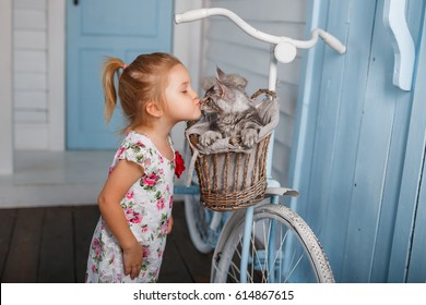 Child Kiss A Cat. Little Girl Have Fun With Kitten