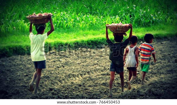 child labour in indian\
farms