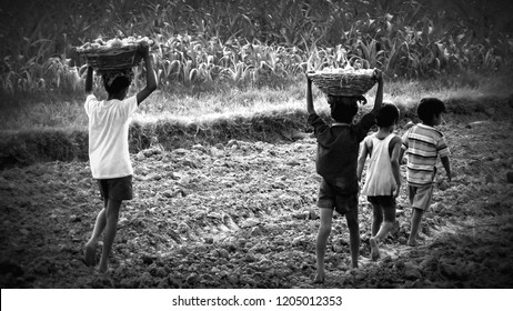 Indian Child Labour Images Stock Photos Vectors Shutterstock