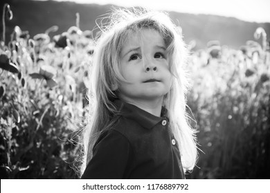 Child Little Boy Long Blonde Hair Stock Photo 1176889792 | Shutterstock