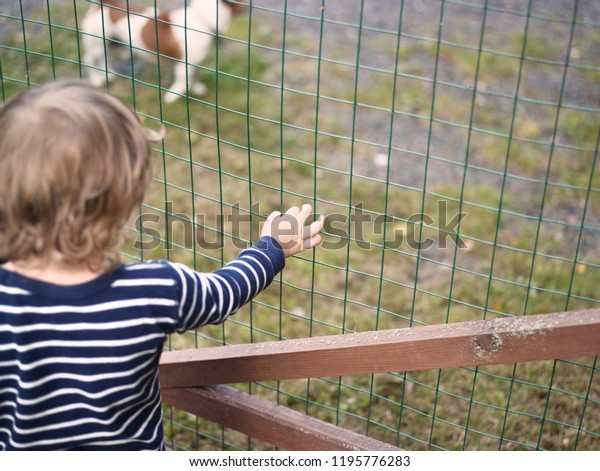 toddler fence outdoor