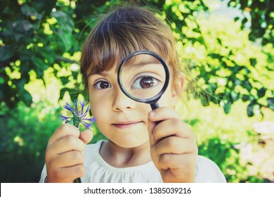 The Child Is Looking In A Magnifying Glass. Increase. Selective Focus. Nature.