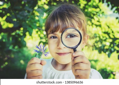 6,205 Magnifying Glass Tree Images, Stock Photos & Vectors | Shutterstock