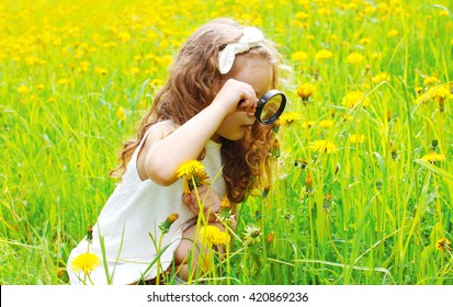 Child Looking Through Magnifying Glass On Yellow Dandelion Flowers