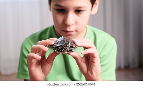 A child looks at a turtle he holds with both hands, captivated by the small creature. This scene captures the innocence and attentiveness of a child interacting with nature. - Powered by Shutterstock