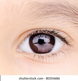 Child Macro Closeup Eye