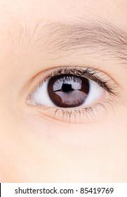 Child Macro Closeup Eye