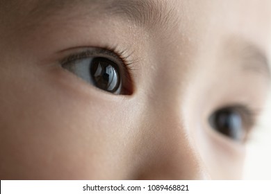 Child Macro Close-up Eye And Nose Of Asian Child Boy