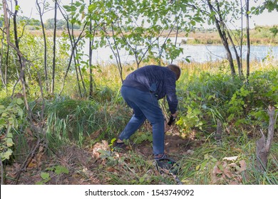 A Child With A Metal Detector Searches For Treasures In The Forest, Enthusiastically Looks Through Finds And Analyzes Signals From The Metal Detector. Favorite Hobby For Enthusiastic People