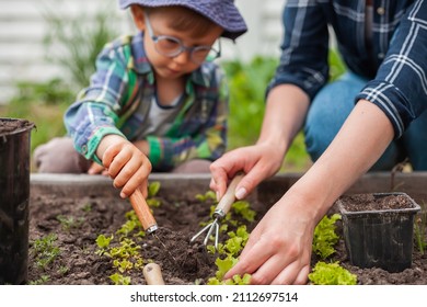 Child And Mother Gardening In Vegetable Garden In The Backyard