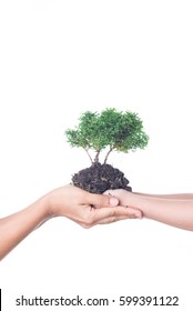 Child And Mother Holding Soil And Plant Isolated On White