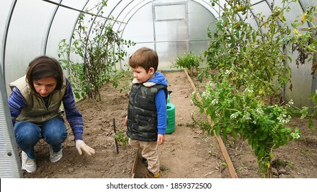 Child with mother plant seeds in greenhouse - Powered by Shutterstock