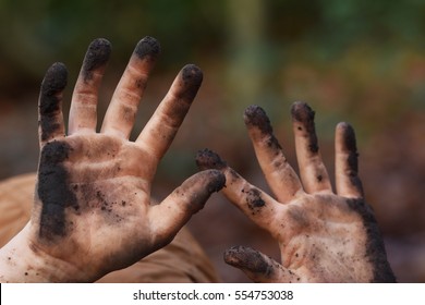 Child Muddy Hands, Playing In A Wood 