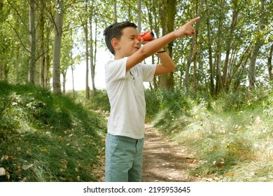 child observes birds with binoculars in the wild. birdwatching in childhood
