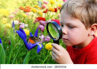 Child Observing Nature