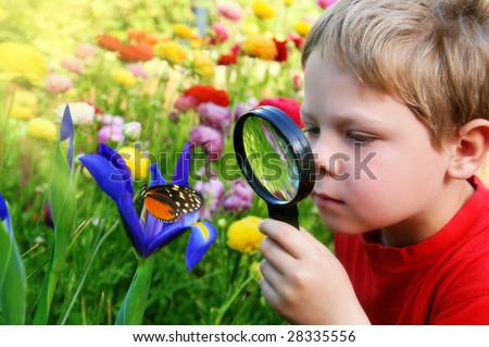 Child observing nature