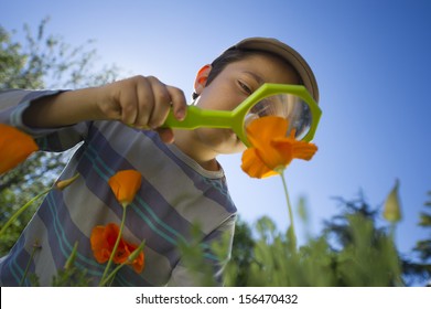 Child Observing Nature With A Magnifying Glass