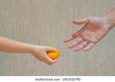 A child offering mandarin to an adult. Tangerine given from the child's hand to the adult's hand. - Shutterstock ID 1852920790