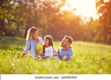 Child on picnic with parents make soap bubbles  - Shutterstock ID 626905934