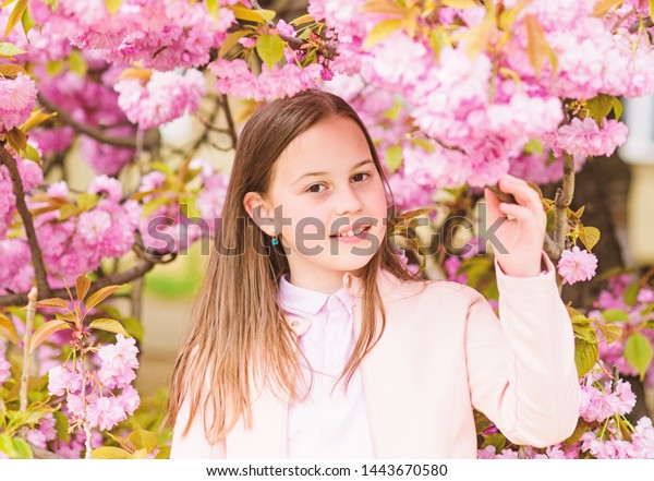 Child On Pink Flowers Sakura Tree Royalty Free Stock Image