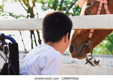 The Child Is On A Wheelchair.
He Sitting In The Ranch.
In The White Fence There Is A Brown Horse. Happy Disabled Child Concept.