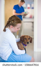 Child Owner With Pet Dog In Waiting Room Of Vet Surgery