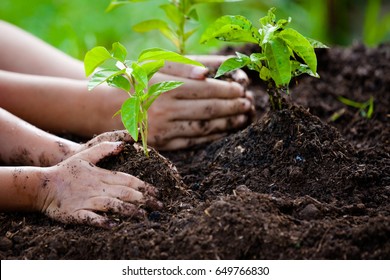 Child and parent hand planting young tree on black soil together as save world concept