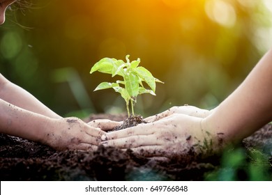 Child And Parent Hand Planting Young Tree On Black Soil Together As Save World Concept In Vintage Color Tone