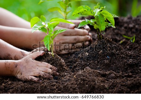 Child and parent hand planting young tree on black soil together as save world concept