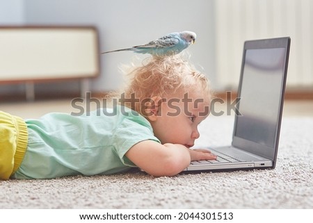 A child with a parrot on his head watches cartoons on a laptop or studies online. The concept of self-isolation in the coronavirus pandemic.
